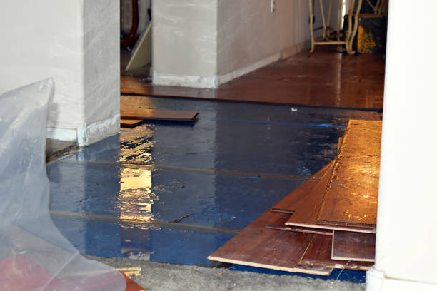 Professional Basement Flood Cleanup technician working in Monclova, OH